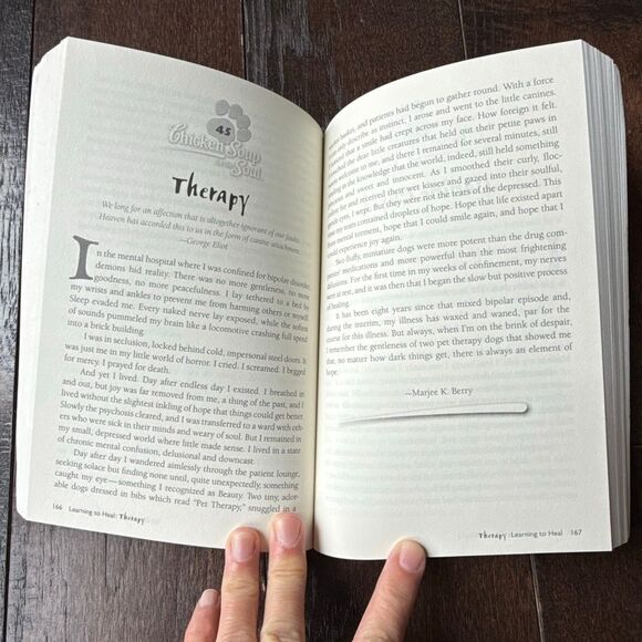 Chicken soup for the soul what I learned from the dog 2009 paperback - Picture 3 of 4